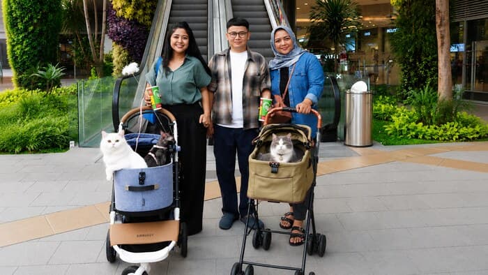 Grand Galaxy Park, cat-friendly mall (Foto: VRITIMES.com)