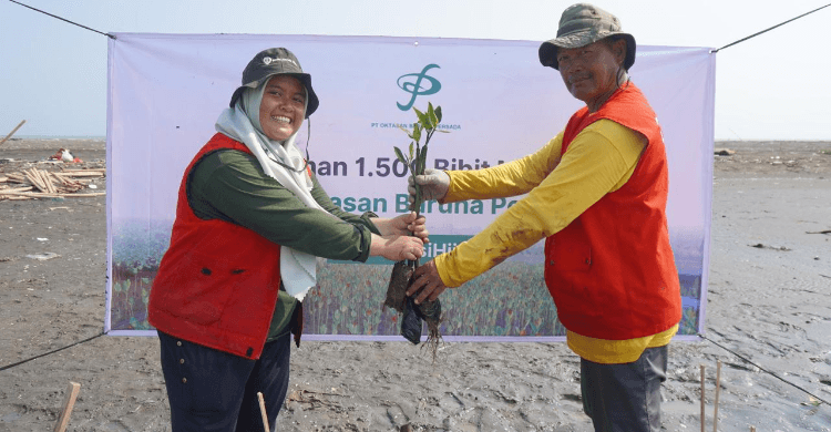 PT Oktasan Baruna Persada Batubara: Profil, Peran, dan Kontribusinya dalam Mendukung Ketahanan Energi Nasional